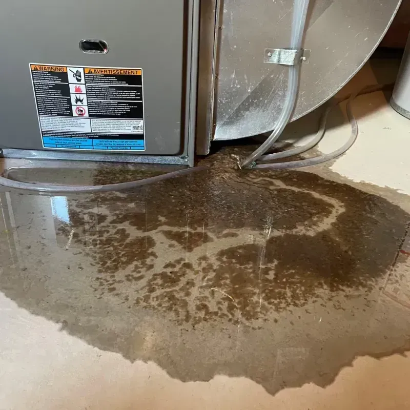 Appliance Leak Cleanup in Apache, OK